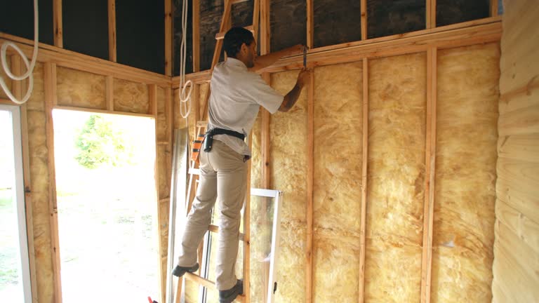 Best Attic Insulation Installation  in Robesonia, PA